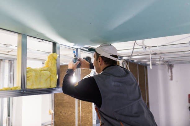 Best Types of Insulation in Mansfield, LA