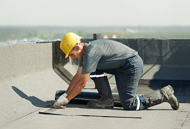 Best Insulation Installation Services in Mansfield, LA