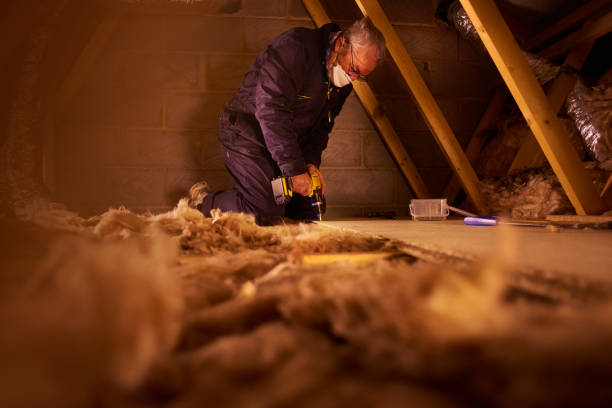 Best Energy Efficiency Solutions in Mansfield, LA