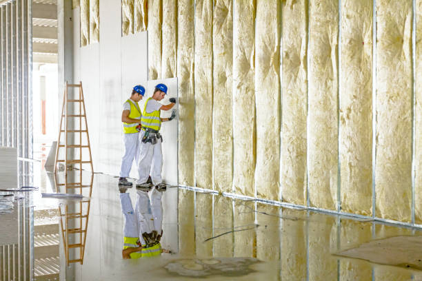 Best Commercial Insulation in Mansfield, LA